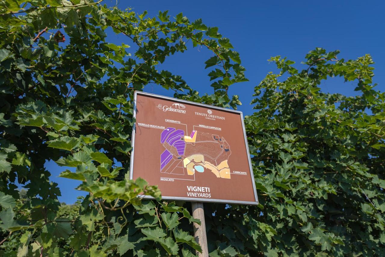Willa La Gelsomina - Etna Presa Zewnętrze zdjęcie
